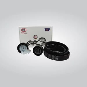 Timing belt kit