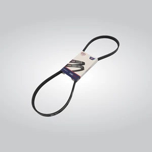 Alternator belt