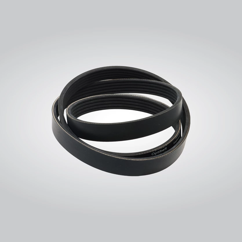 Alternator belt