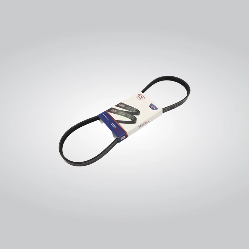 Alternator belt
